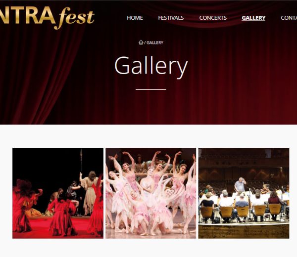 INTRAfest — Festival-Website